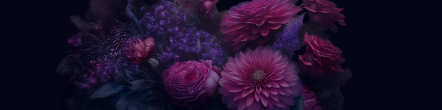 <h2>Dark Hearts & Cozy Hearts</h2>